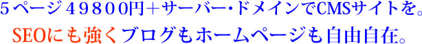 ５ページ４９８００円＋サーバー・ドメインでCMSサイトを。<br />
SEOにも強くブログもホームページも自由自在。