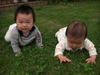 従兄弟の子と次女