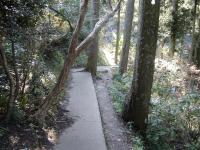 粟又の滝へ降りる道 粟又の滝へ降りる道