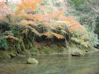 養老の滝・紅葉・綺麗です! 養老の滝・紅葉・綺麗です!