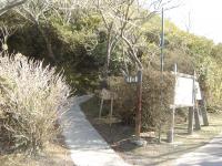 登山道？（笑）