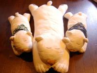 ニトリのクマのぬいぐるみ（笑）