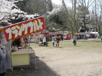 茂原公園の桜・出店もたくさん出ています