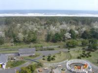 蓮沼海浜公園展望台から海を見る