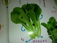 20120215043835.jpg image