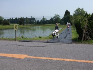 ショートコースでランチとゴルフ! (7)