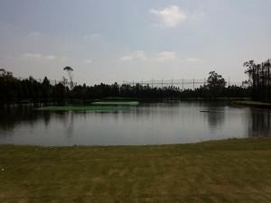 ショートコースでランチとゴルフ! (5)